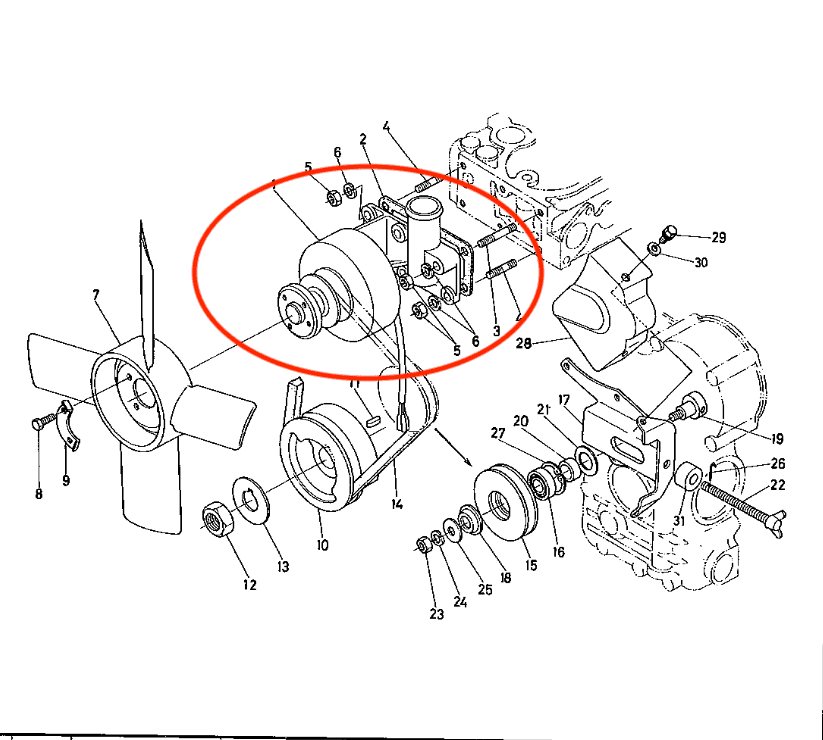 Lichtmaschine Kubota D650 | D750 | D850 | D950 | B5000- B7100 | Zen-noh | Shop4Trac